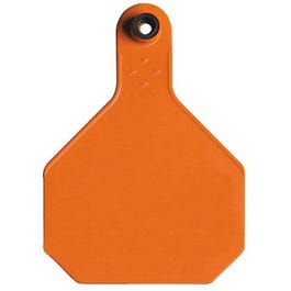 All American Livestock Tag, Blank, Large, Orange, 25-Pk. For Cheap