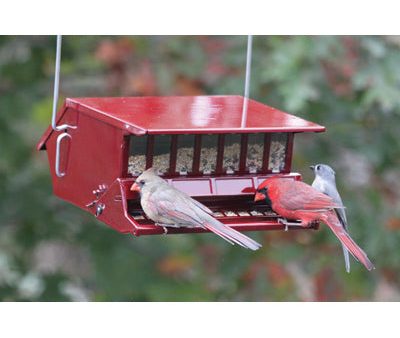 Woodlink Reflective Red Squirrel-Resistant Bird Feeder Fashion